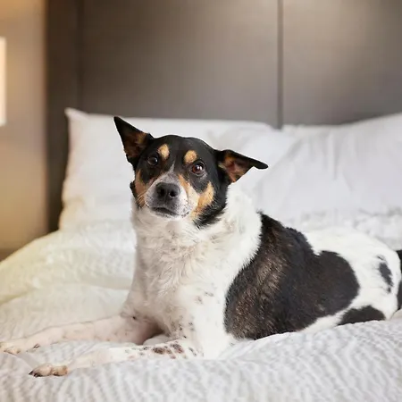 Otel Garner Klagenfurt - Moser Verdino By Ihg 4*