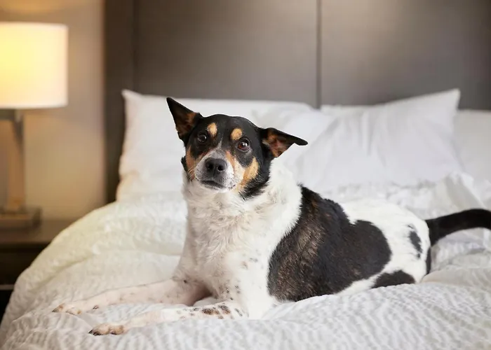 Hotel Garner Klagenfurt - Moser Verdino By Ihg 4*